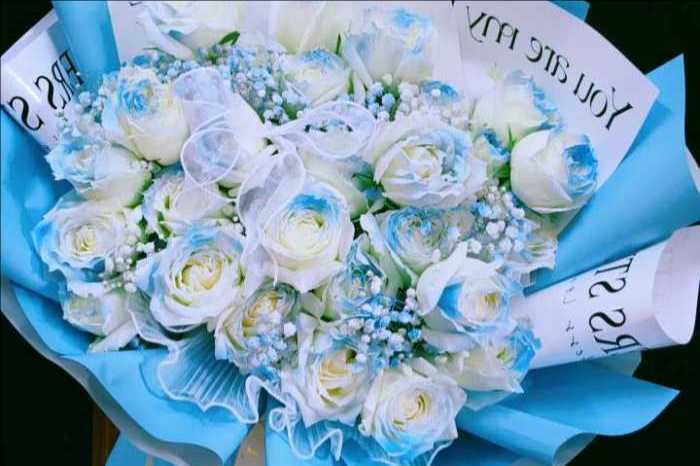 ֣ݽˮ