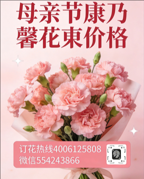 郑州金水区花店母亲节康乃馨花束